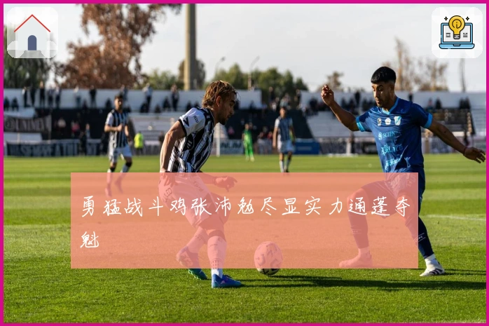 勇猛战斗鸡张沛勉尽显实力通蓬夺魁