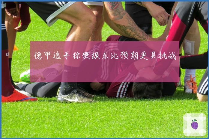 德甲选手称樊振东比预期更具挑战