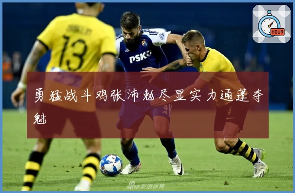 勇猛战斗鸡张沛勉尽显实力通蓬夺魁